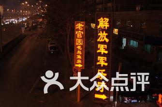 救援小棕兔