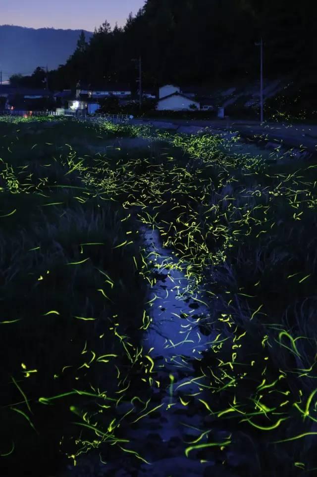 风色幻想5