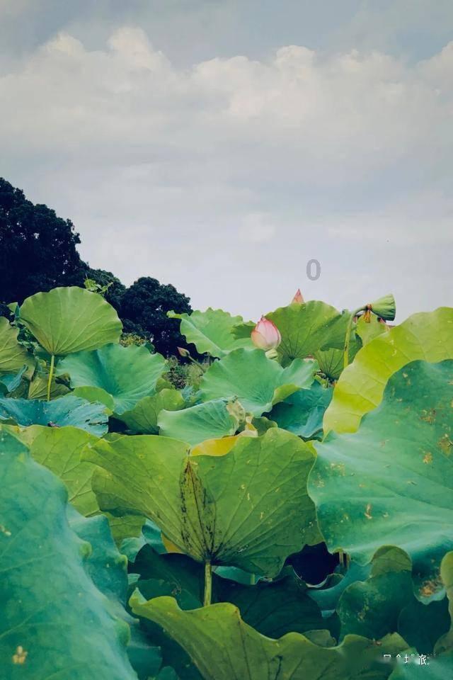 撩妹高手是什么样的人游戏画面