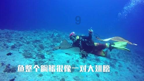 《神探大战》拿下了内地票房冠军等4项纪录,它是靠什么成功出圈的呢?-知识星球平台