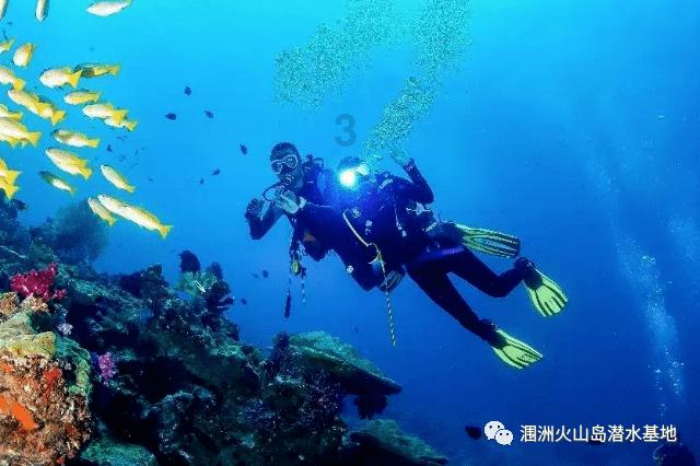 攀登高峰无敌版